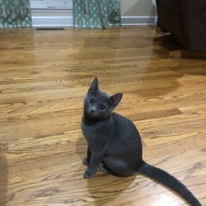 Meet your Posher, Nikki